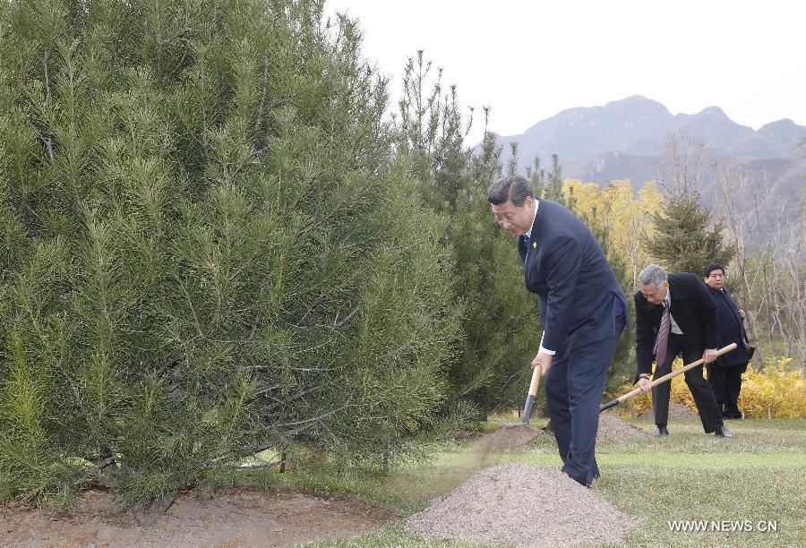 ???? ???? ?????? ????? ???????