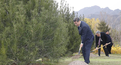 ???? ???? ?????? ????? ???????