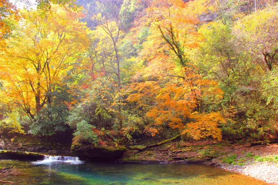 ???? ???? ??? ????? ?? ???? ??????? ????