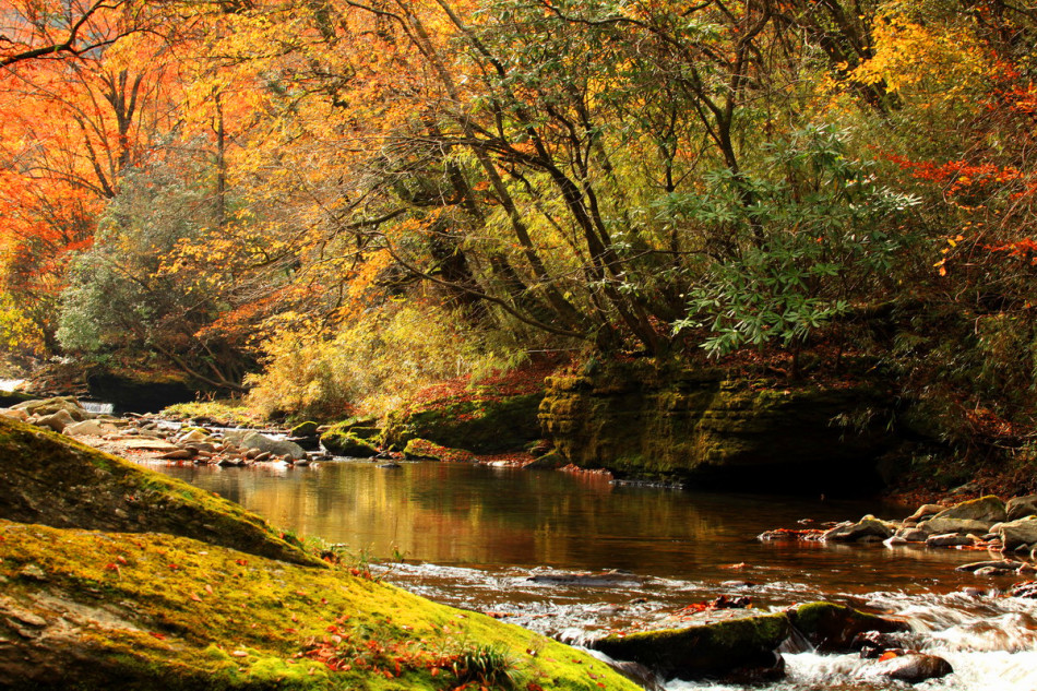 ???? ???? ??? ????? ?? ???? ??????? ????