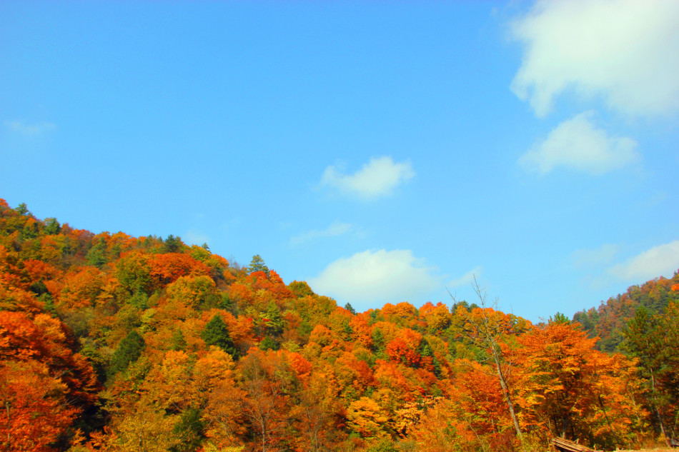 ???? ???? ??? ????? ?? ???? ??????? ????