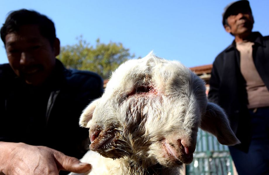 ??? ???? ?????? ????? ???? ???? ?????