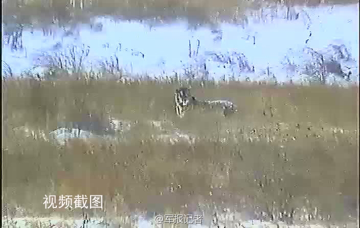 ???? ?????? ????? ??? ????? ???????? "?????" ???? ????? ????? 