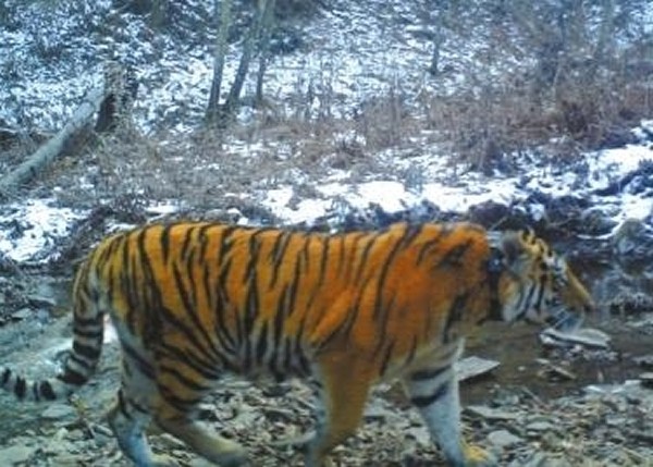 ???? ?????? ????? ??? ????? ???????? "?????" ???? ????? ????? 