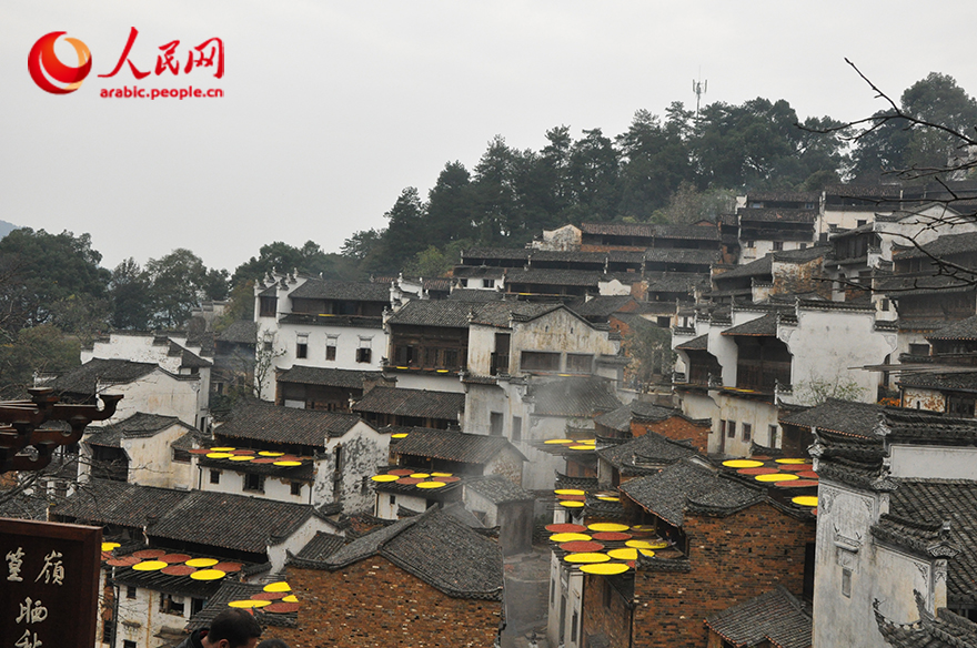 ????? ???? ???? ????? ?? ????? – ????? ????