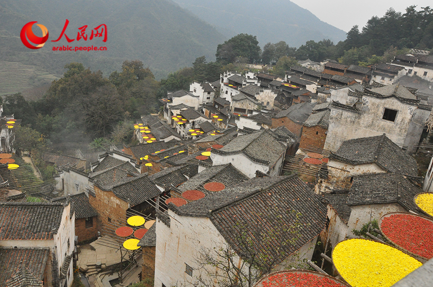 ????? ???? ???? ????? ?? ????? – ????? ????