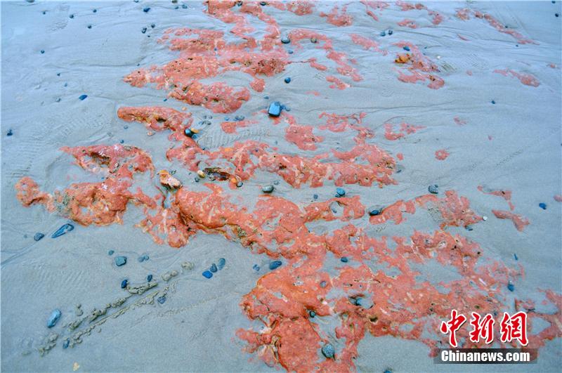 ???? ???? ???? ???? ?? ???? ???? ???????? ?? ?????