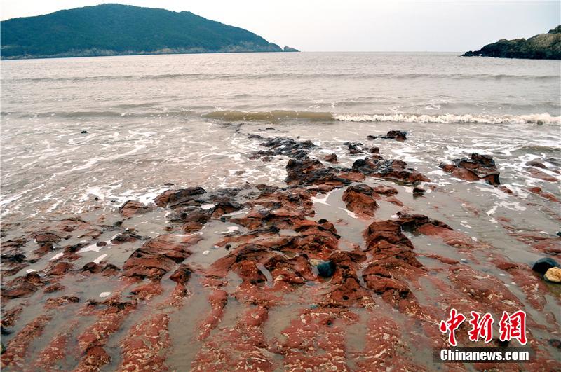 ???? ???? ???? ???? ?? ???? ???? ???????? ?? ?????