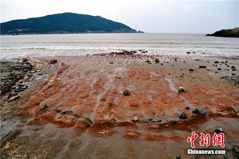 ???? ???? ???? ???? ?? ???? ???? ???????? ?? ?????