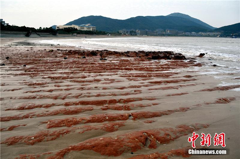 ???? ???? ???? ???? ?? ???? ???? ???????? ?? ?????