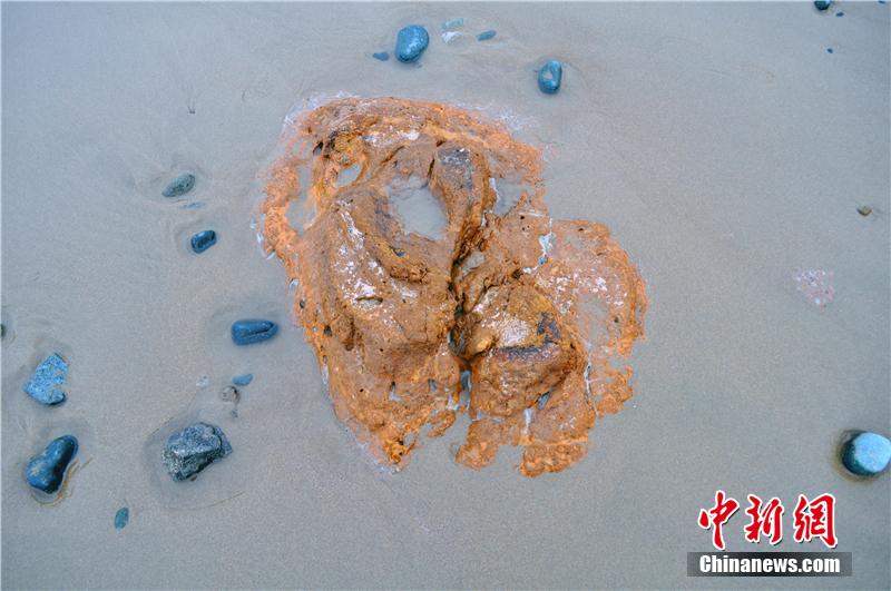 ???? ???? ???? ???? ?? ???? ???? ???????? ?? ?????