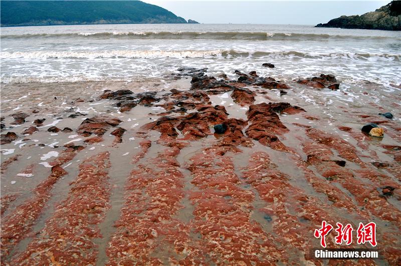 ???? ???? ???? ???? ?? ???? ???? ???????? ?? ?????