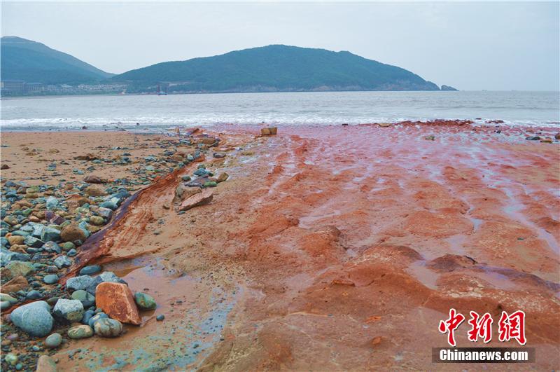 ???? ???? ???? ???? ?? ???? ???? ???????? ?? ?????