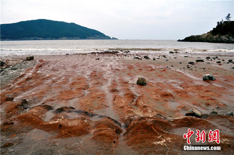 ???? ???? ???? ???? ?? ???? ???? ???????? ?? ?????