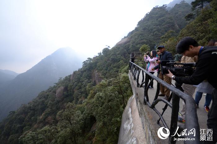 ??????? ?????: ??? ????? ??????? ????? ??? ????? ??? ????? ?????? ?? ?????? ?????? ??????