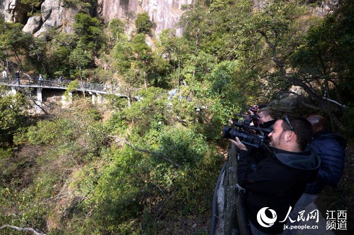 ??????? ?????: ??? ????? ??????? ????? ??? ????? ??? ????? ?????? ?? ?????? ?????? ??????