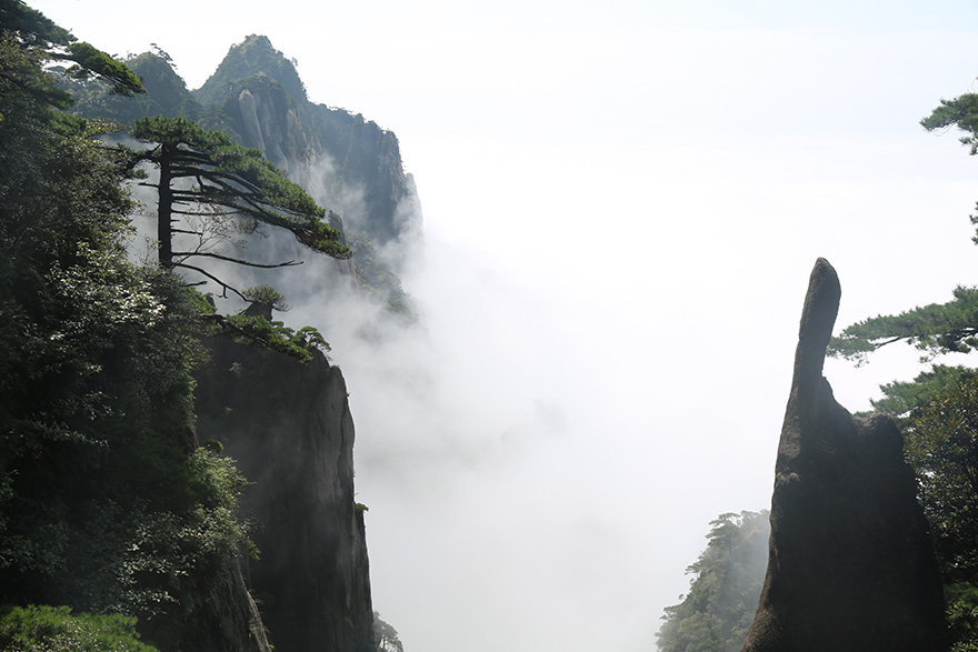 ??????? ?????: ??? ????? ??????? ????? ??? ????? ??? ????? ?????? ?? ?????? ?????? ??????