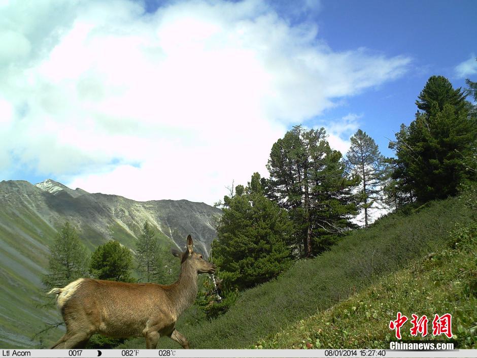 ??? ????? ????????? ?????? ?? ????? ????? ??????? ?????????