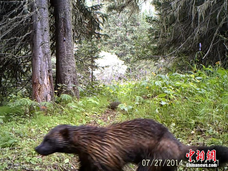 ??? ????? ????????? ?????? ?? ????? ????? ??????? ?????????