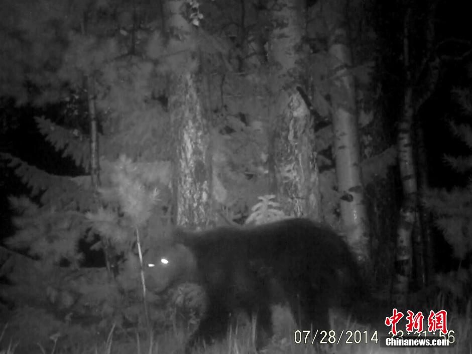 ??? ????? ????????? ?????? ?? ????? ????? ??????? ?????????