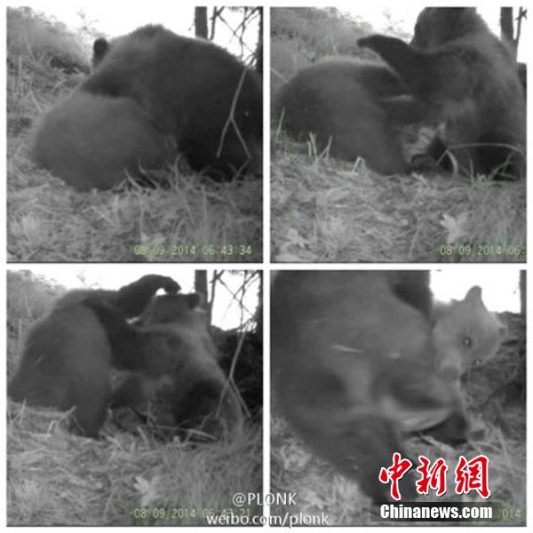 ??? ????? ????????? ?????? ?? ????? ????? ??????? ?????????