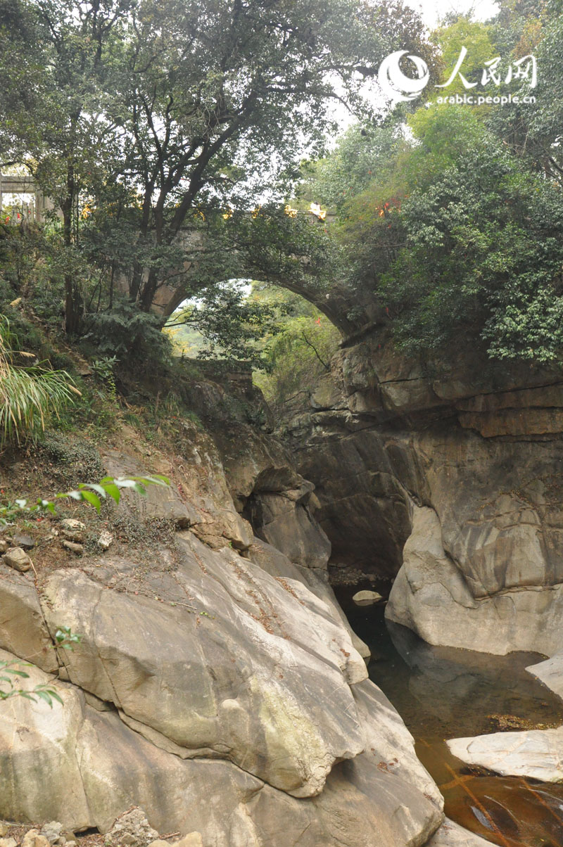 ???? ?????? ???? ???? ??????? ?? ?????