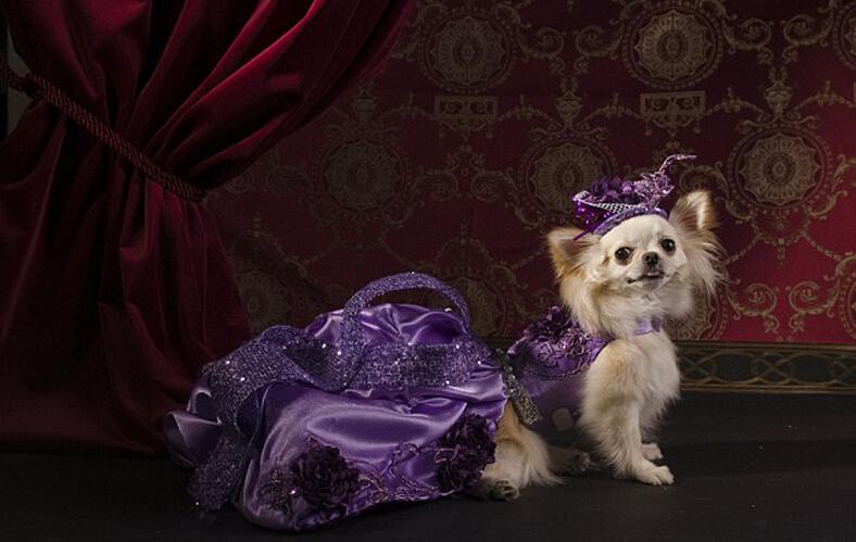 ???? ????  ????????? ??????? ?? ???? ?? ???