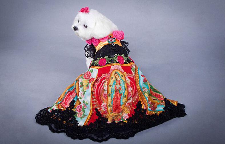 ???? ????  ????????? ??????? ?? ???? ?? ???