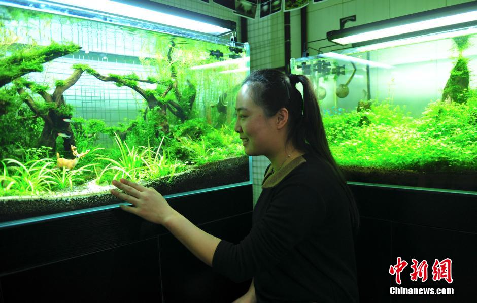 " ????? " ?? ???????? ????? ????? ??? ?????? ?????? ???????