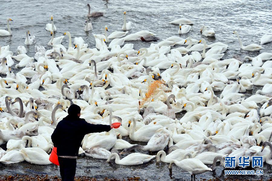 ????? ???????: ????? ????? ?????? ???? ???? ?? ?????? ???????