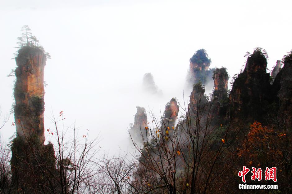 ???? ?? ???? ?????? ??????? ?? ????? ??????????? ???????? ??? ?????