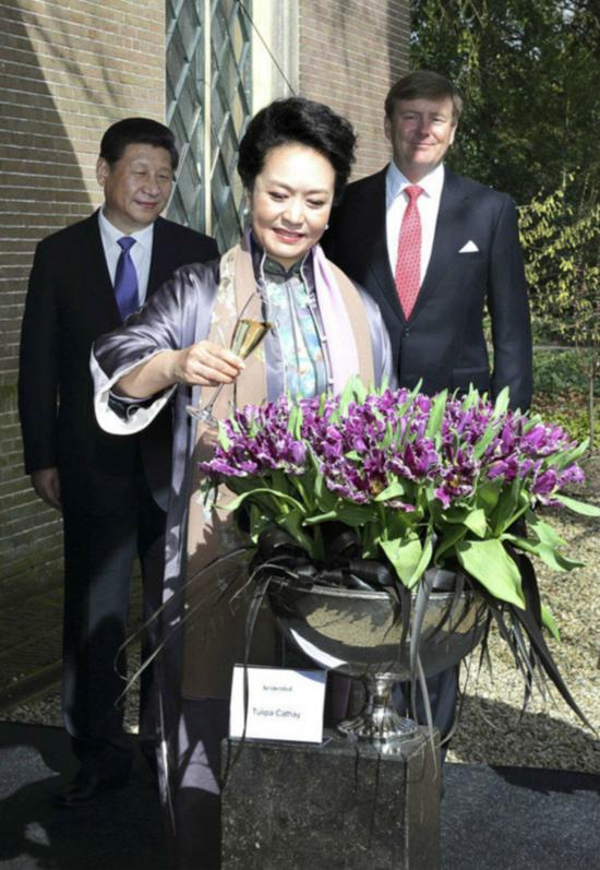 ??? ????? ?????? ???? ??? ?????? ?????? ?? ?????