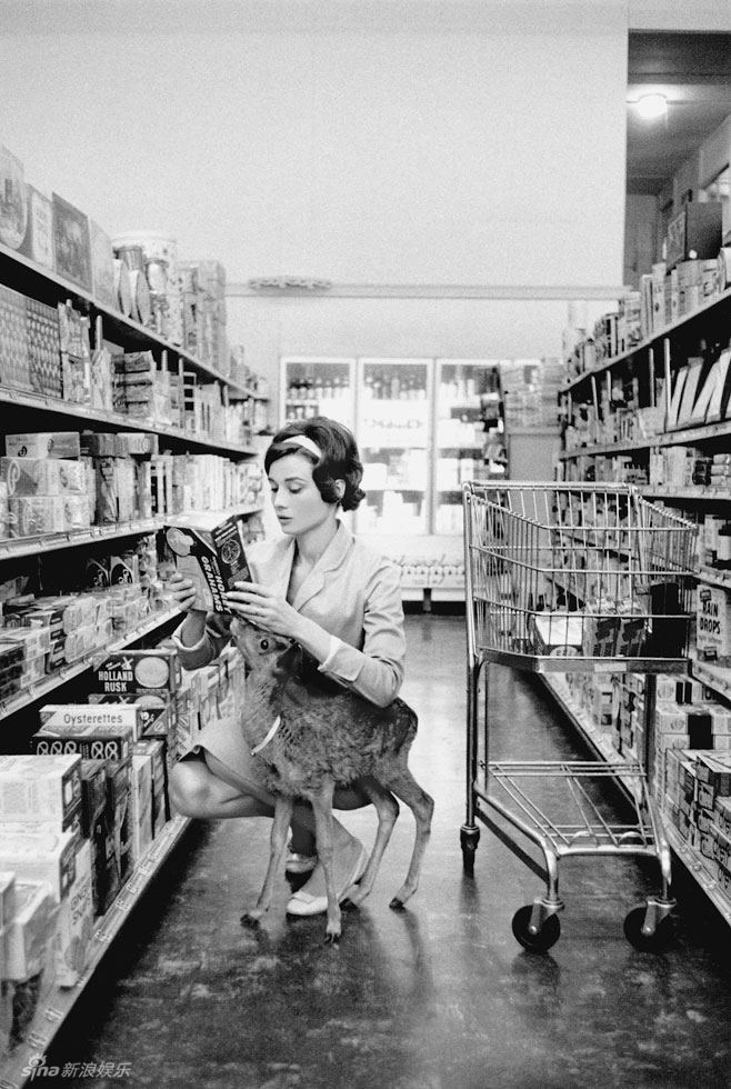 ??? ????? ????? ???? ?? ??????