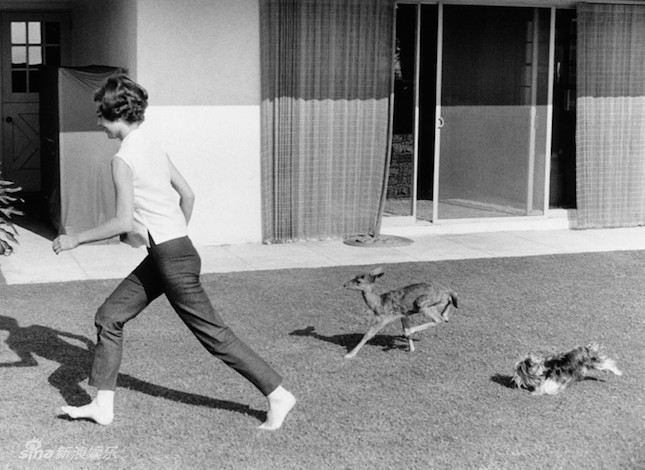 ??? ????? ????? ???? ?? ??????