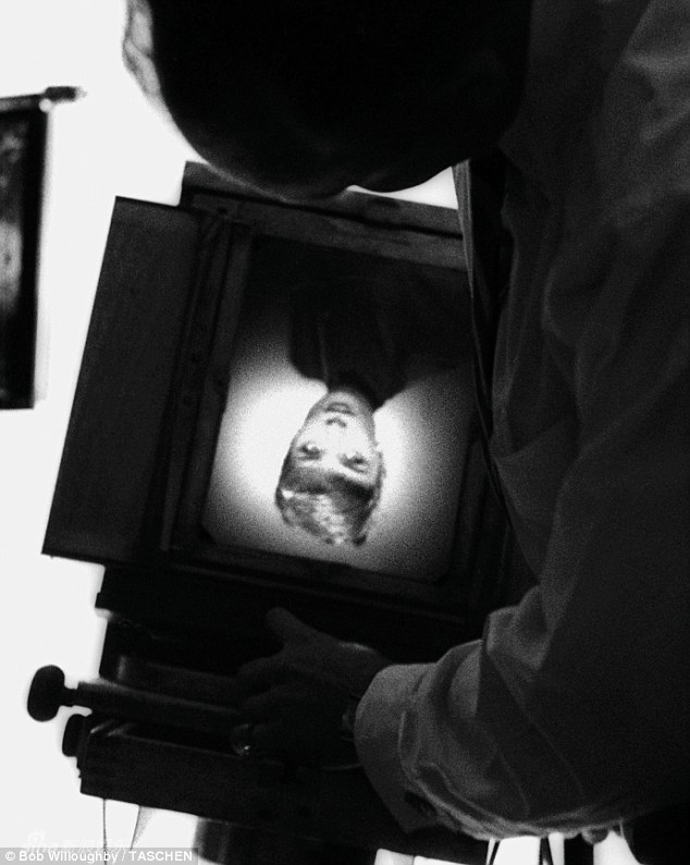 ??? ????? ????? ???? ?? ??????