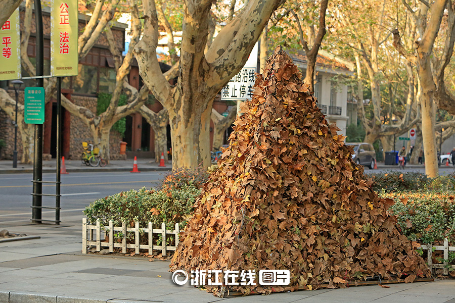 "???" ???? ?? ??????? ????????? ???? ?? ?????