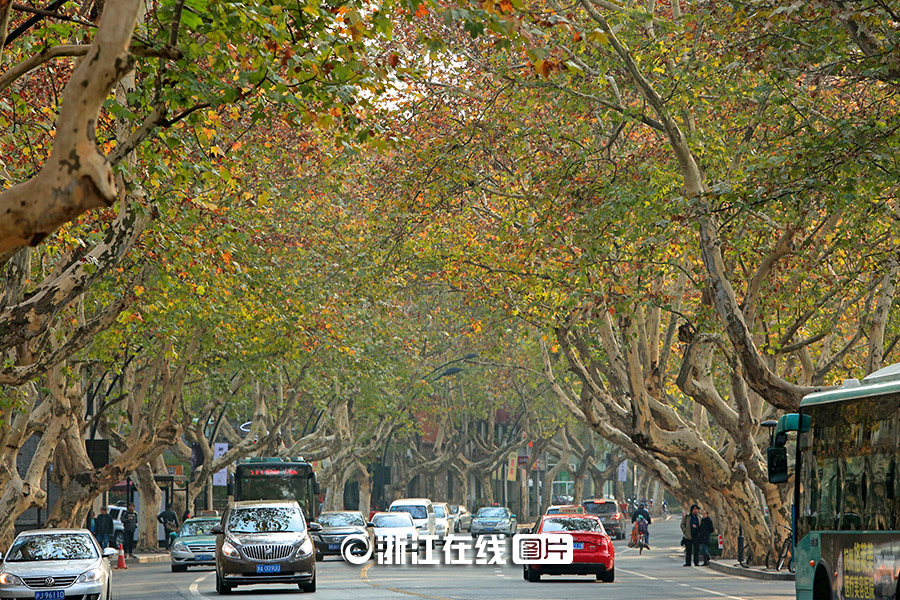 "???" ???? ?? ??????? ????????? ???? ?? ?????