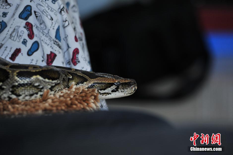 ??? ???? ???? ?? 25 ?????? ???? ?????