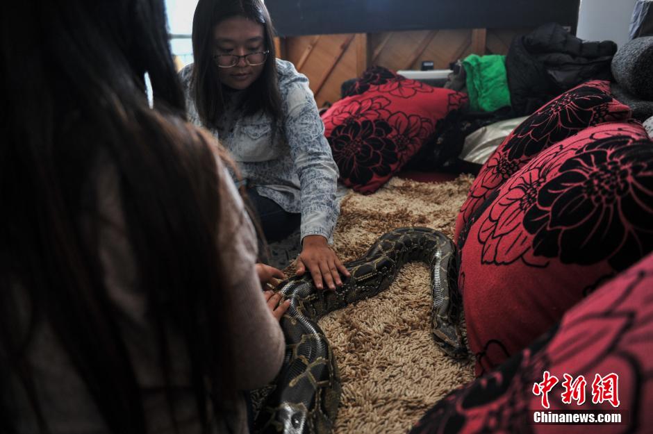 ??? ???? ???? ?? 25 ?????? ???? ?????