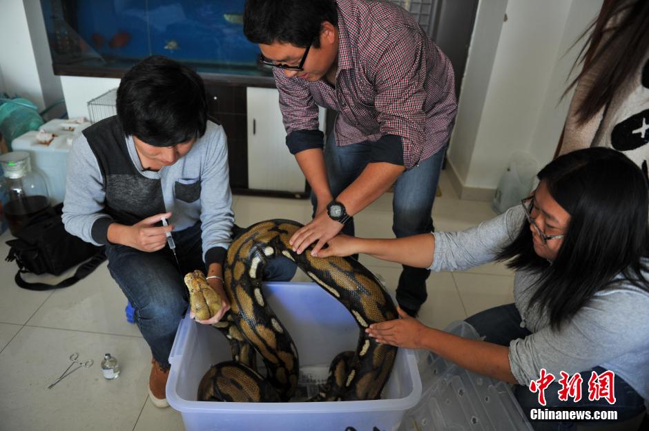 ??? ???? ???? ?? 25 ?????? ???? ?????