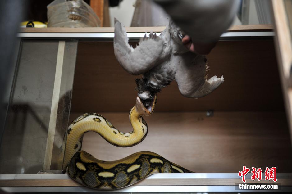 ??? ???? ???? ?? 25 ?????? ???? ?????