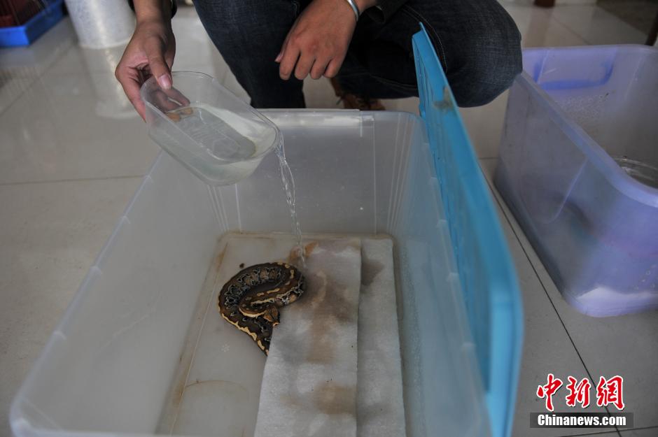 ??? ???? ???? ?? 25 ?????? ???? ?????