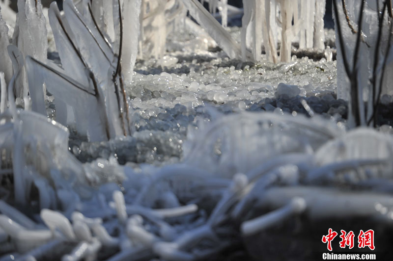 "???? ??????" ???? ?????? ???? ??? ???? ????? ???? ???? ??????? ???????