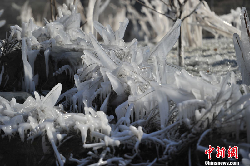 "???? ??????" ???? ?????? ???? ??? ???? ????? ???? ???? ??????? ???????