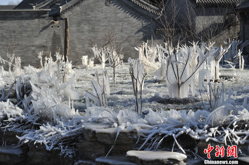 "???? ??????" ???? ?????? ???? ??? ???? ????? ???? ???? ??????? ???????