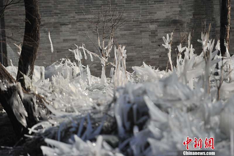 "???? ??????" ???? ?????? ???? ??? ???? ????? ???? ???? ??????? ???????