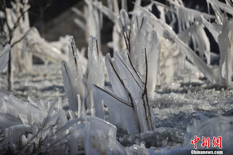 "???? ??????" ???? ?????? ???? ??? ???? ????? ???? ???? ??????? ???????