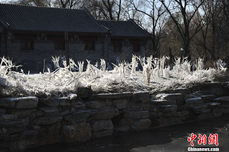 "???? ??????" ???? ?????? ???? ??? ???? ????? ???? ???? ??????? ???????