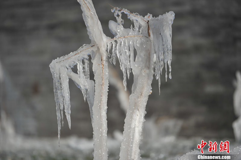 "???? ??????" ???? ?????? ???? ??? ???? ????? ???? ???? ??????? ???????