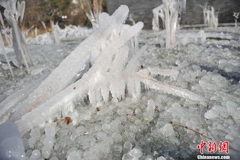 "???? ??????" ???? ?????? ???? ??? ???? ????? ???? ???? ??????? ???????